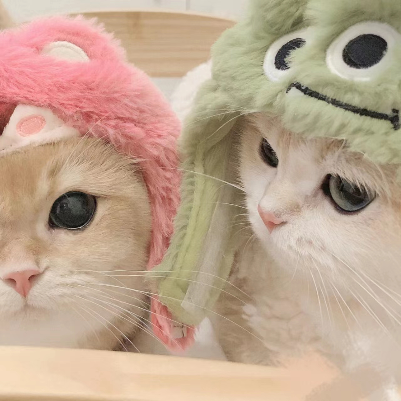 色色软件