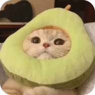 WWW,av804·COM网站APP